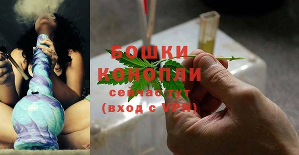 ПСИЛОЦИБИНОВЫЕ ГРИБЫ Кулебаки