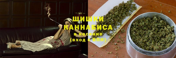 ПСИЛОЦИБИНОВЫЕ ГРИБЫ Кулебаки