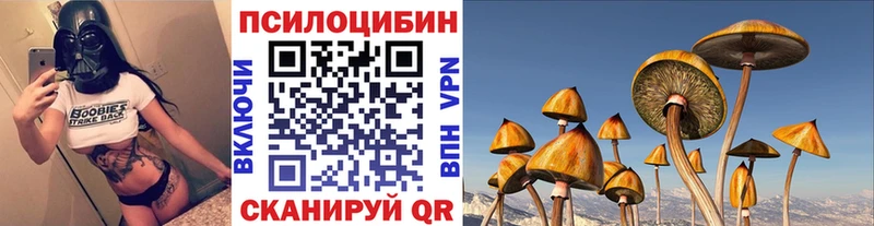 Купить  Среднеуральск  Галлюциногенные грибы Cubensis 